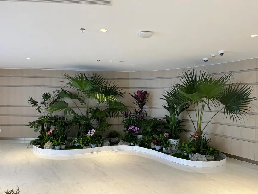 租盆景就选北仑，服务好到爆！